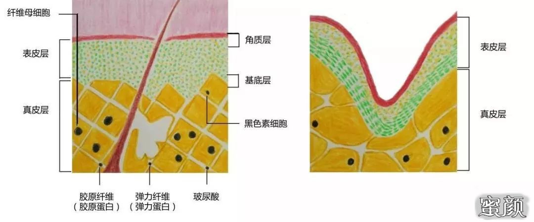 案例图片