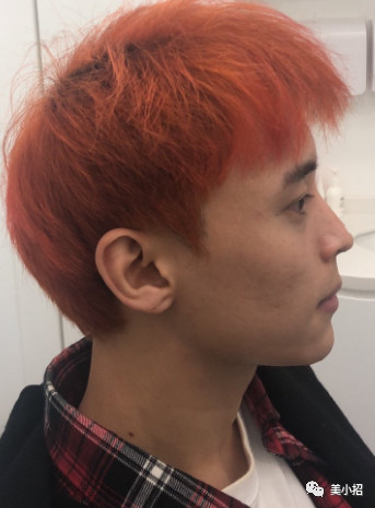 案例图片