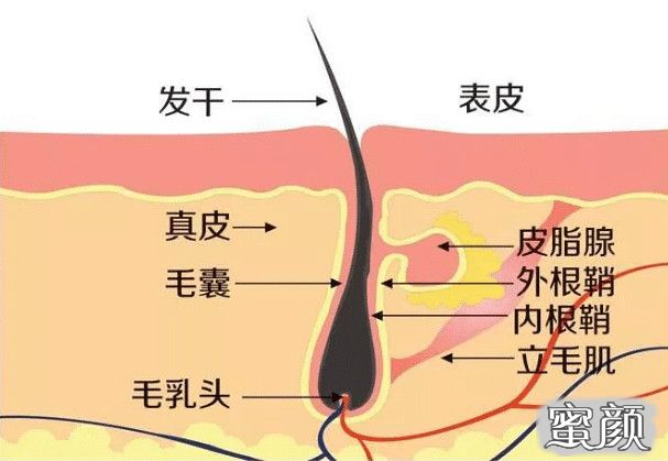 案例图片