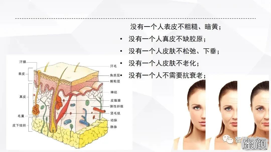 案例图片