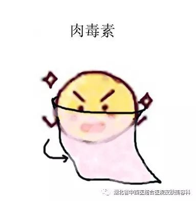 案例图片