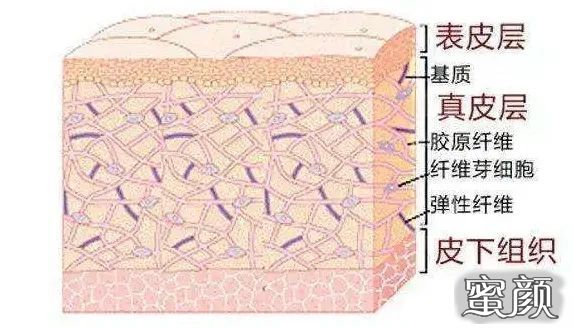 案例图片