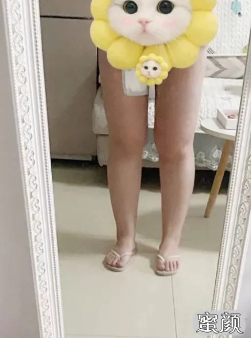 案例图片