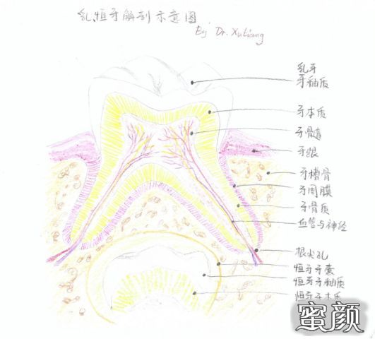 案例图片