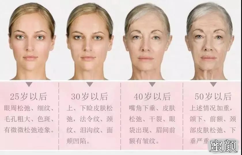 案例图片