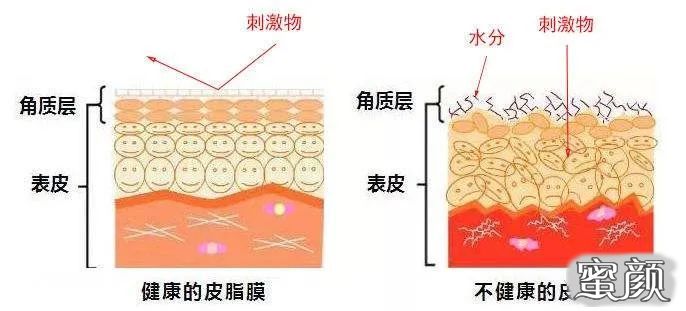 案例图片