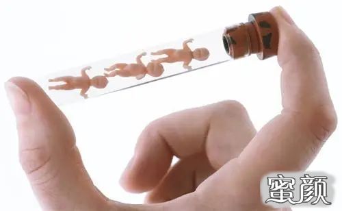 案例图片