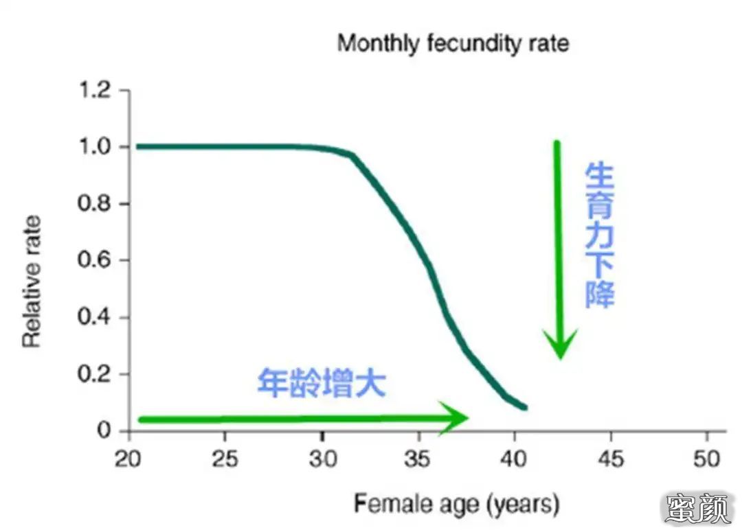 案例图片