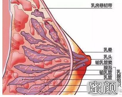 案例图片