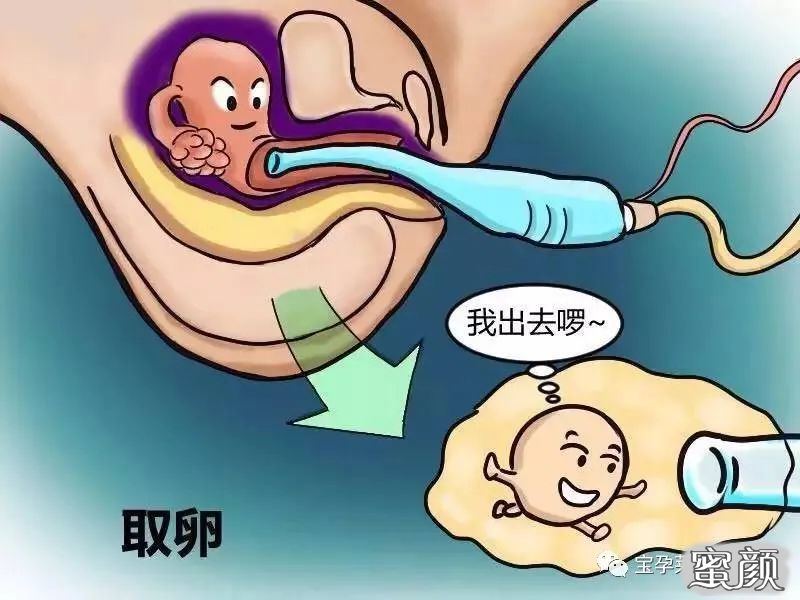 案例图片
