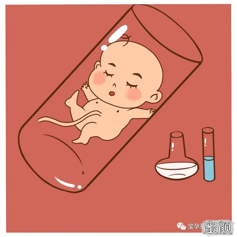 案例图片