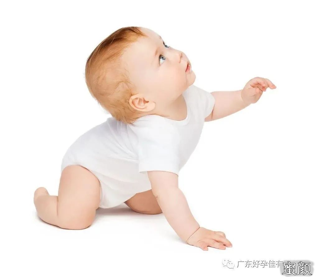 案例图片