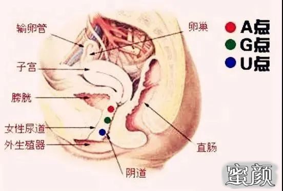 案例图片