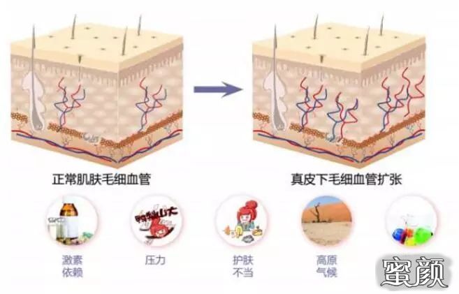 案例图片