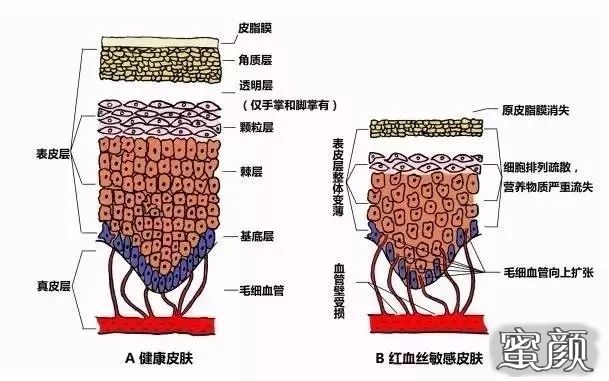 案例图片