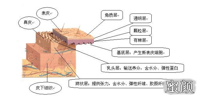 案例图片