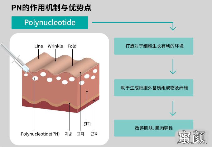 案例图片