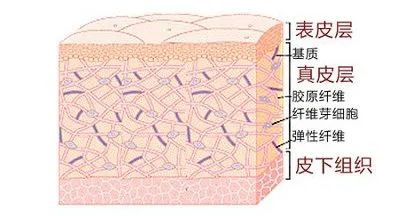 案例图片