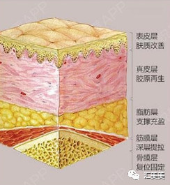 案例图片