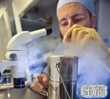 案例图片
