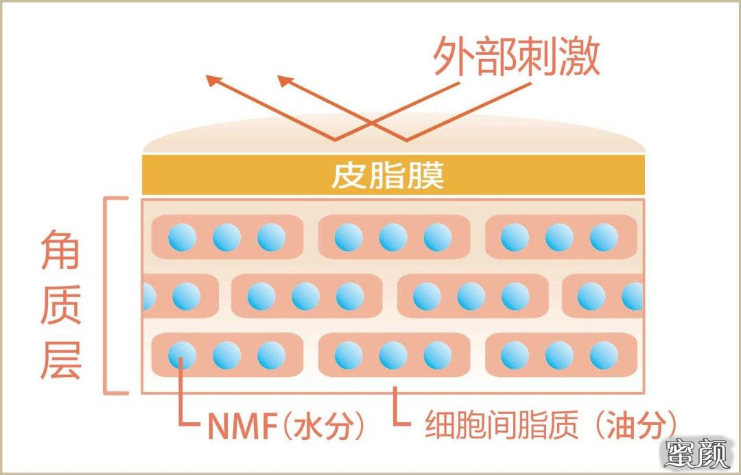 案例图片