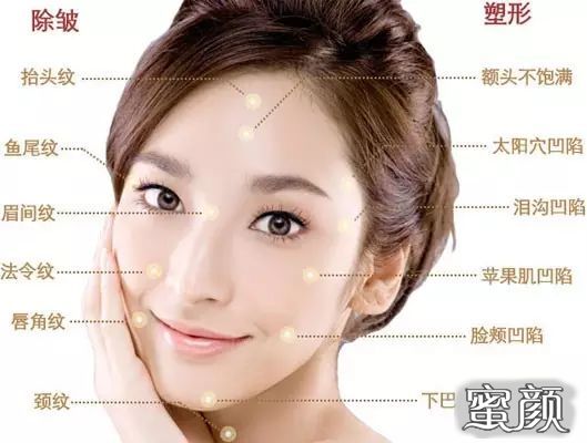 案例图片