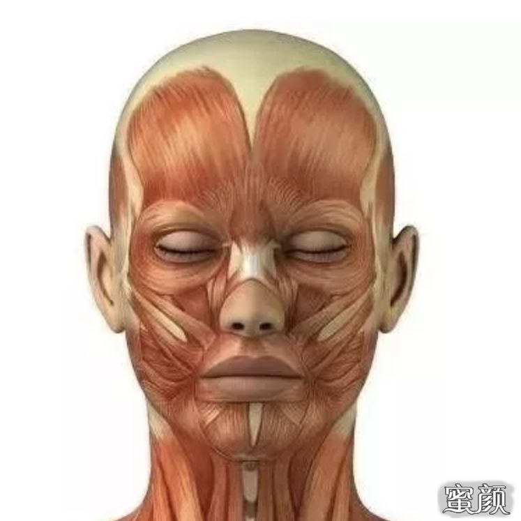 https://img.yiyiaimei.com/mnt/timg/201115/1P21022N-3.jpg