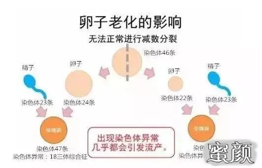 案例图片