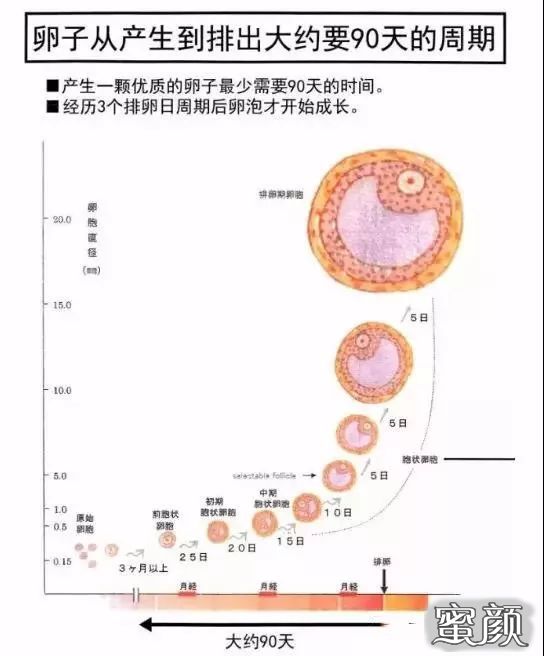 案例图片