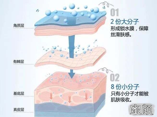 案例图片