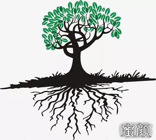 https://img.yiyiaimei.com/mnt/timg/201119/0H0464148-2.jpg