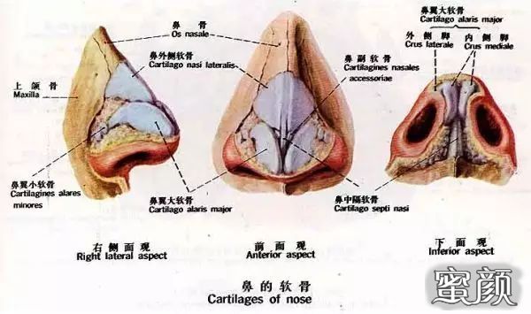 案例图片