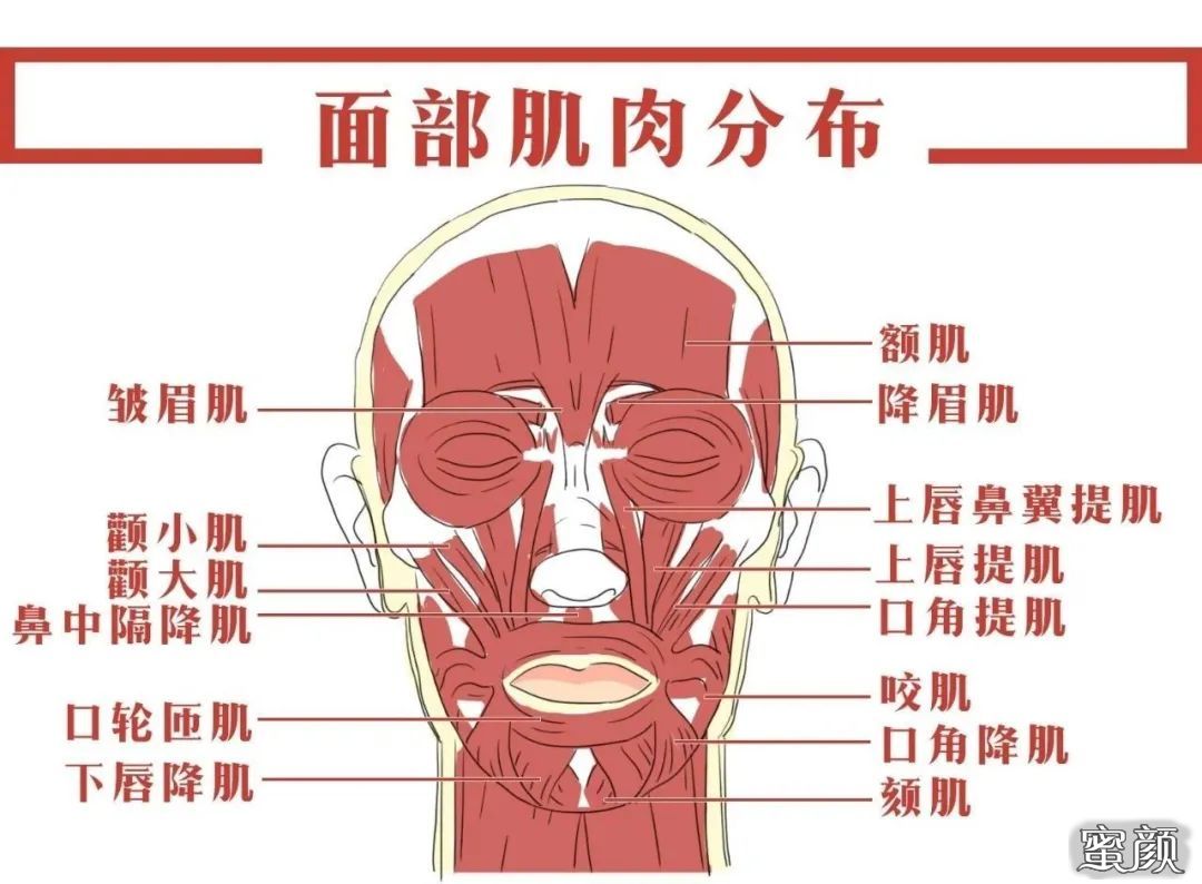 案例图片