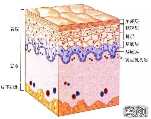 案例图片