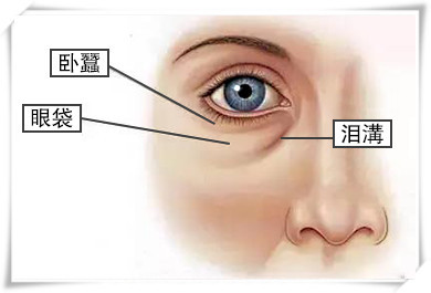 案例图片