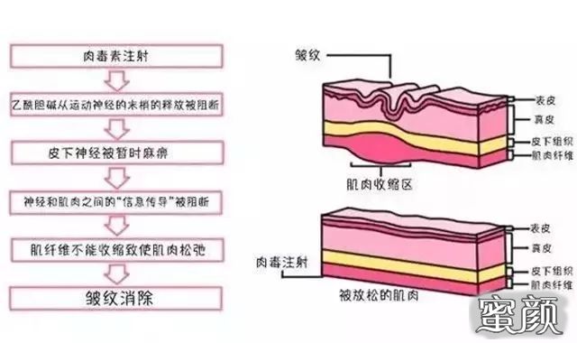 案例图片