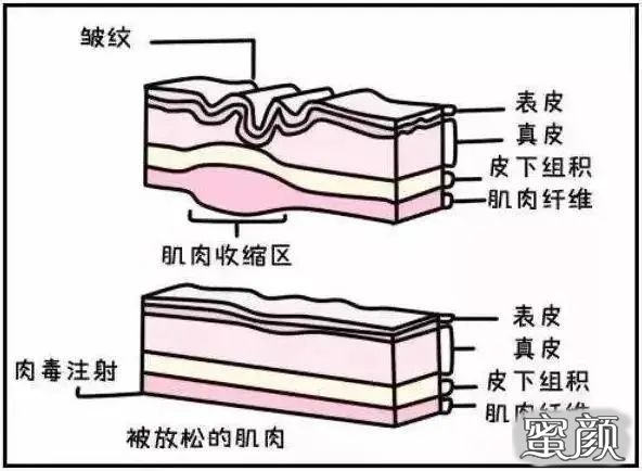 案例图片