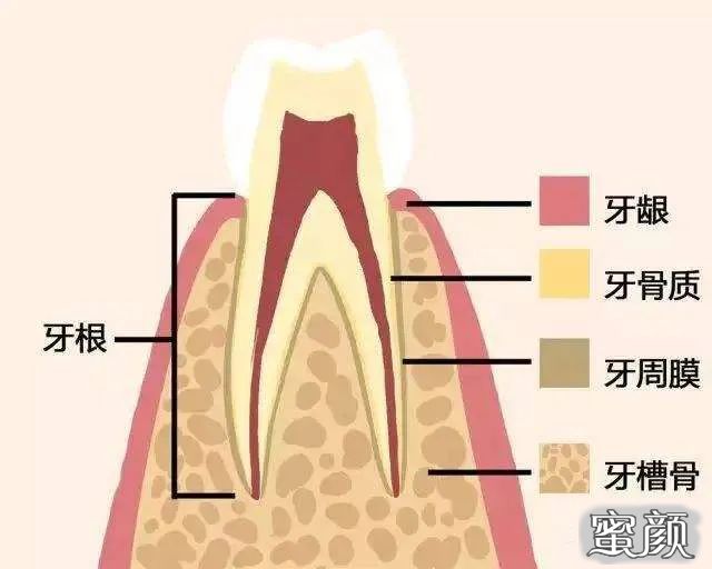 案例图片