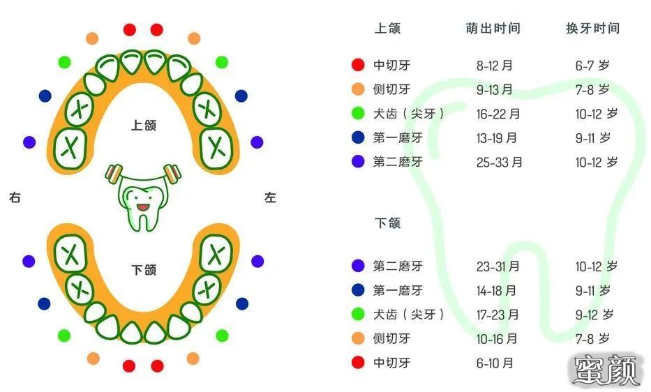 案例图片