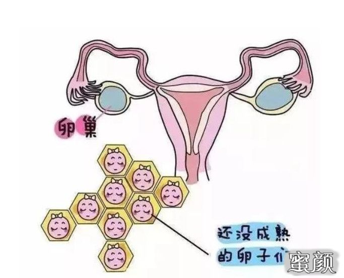 案例图片