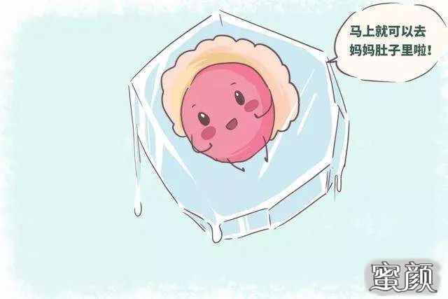 案例图片
