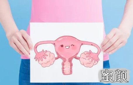 案例图片