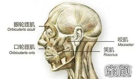 案例图片