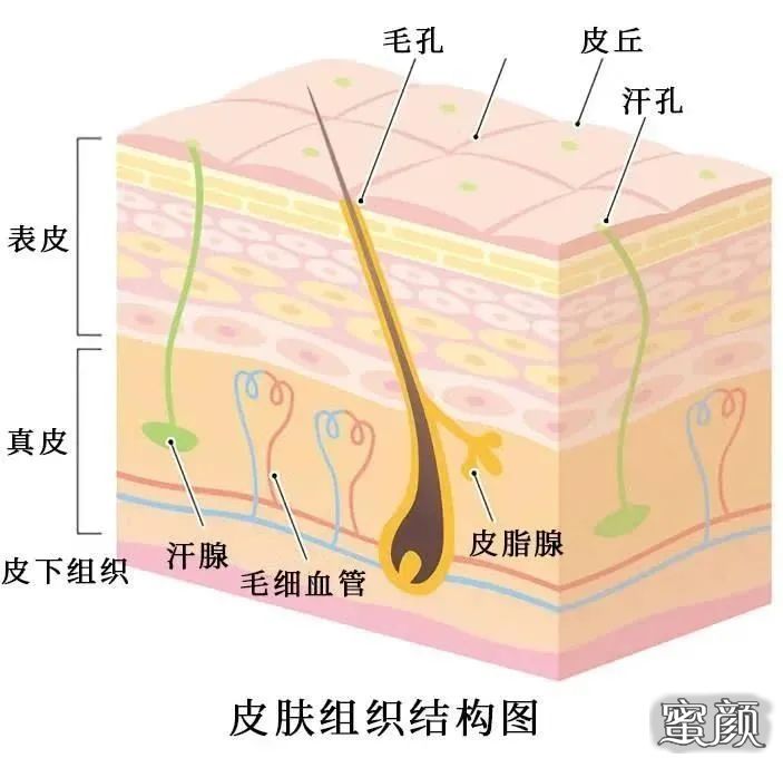 案例图片