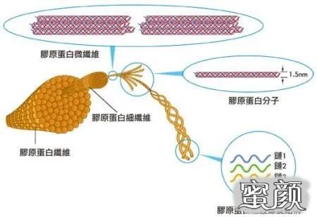 案例图片