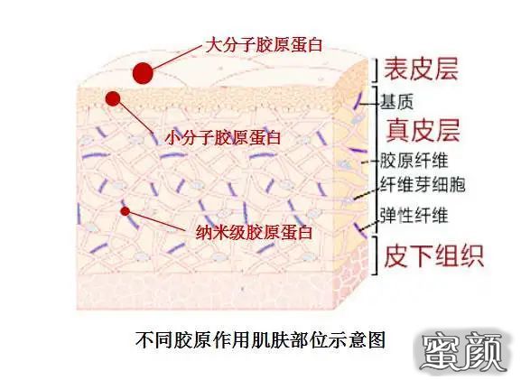 案例图片
