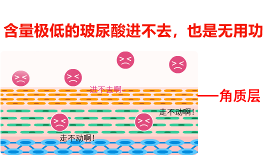 案例图片