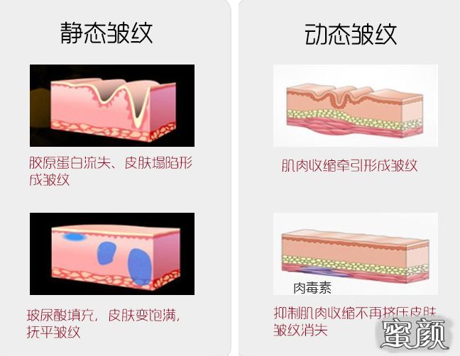 案例图片