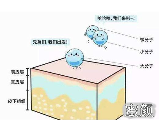 案例图片