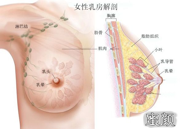 案例图片